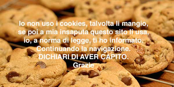 Politica-dei-cookies